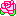 KN