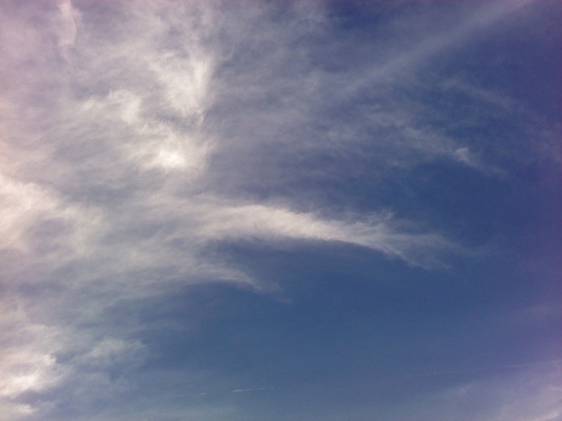 FɂȂ錒K@|Hearty,Happy,Harmonic, Healthy Life|