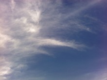 FɂȂ錒K@|Hearty,Happy,Harmonic, Healthy Life|